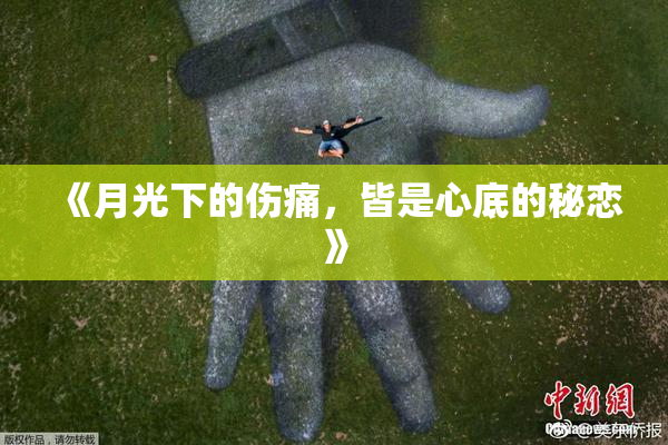 《月光下的伤痛，皆是心底的秘恋》
