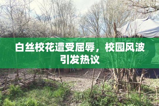 白丝校花遭受屈辱，校园风波引发热议