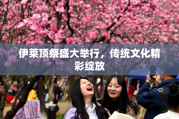 伊莱顶祭盛大举行，传统文化精彩绽放