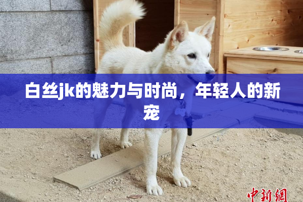 白丝jk的魅力与时尚，年轻人的新宠