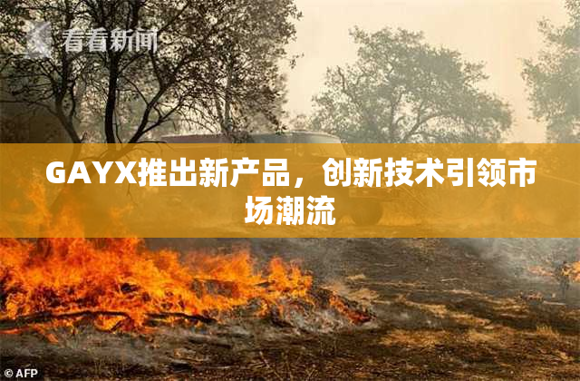 GAYX推出新产品，创新技术引领市场潮流