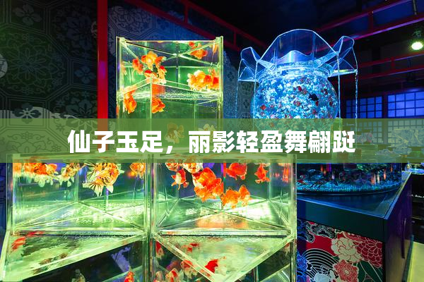 仙子玉足，丽影轻盈舞翩跹