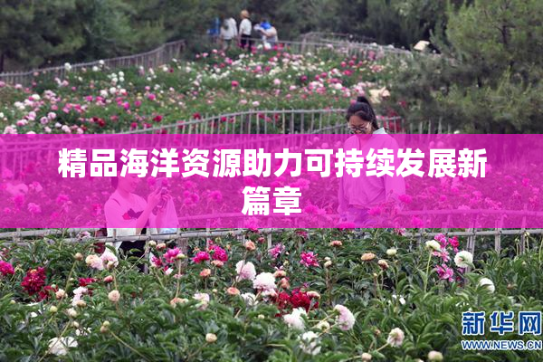 精品海洋资源助力可持续发展新篇章