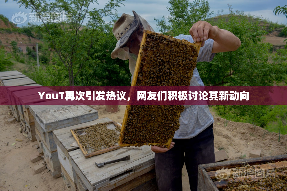 YouT再次引发热议，网友们积极讨论其新动向