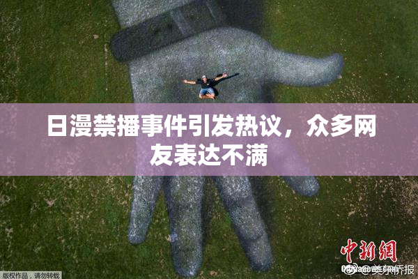日漫禁播事件引发热议，众多网友表达不满