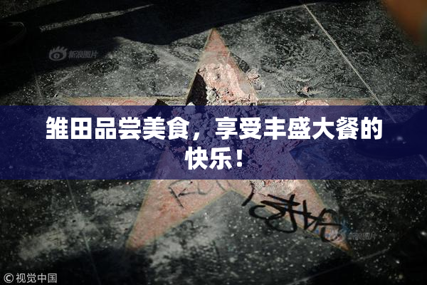 雏田品尝美食，享受丰盛大餐的快乐！