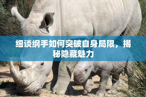 细谈纲手如何突破自身局限，揭秘隐藏魅力