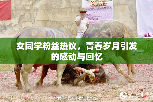 女同学粉丝热议，青春岁月引发的感动与回忆
