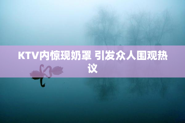 KTV内惊现奶罩 引发众人围观热议