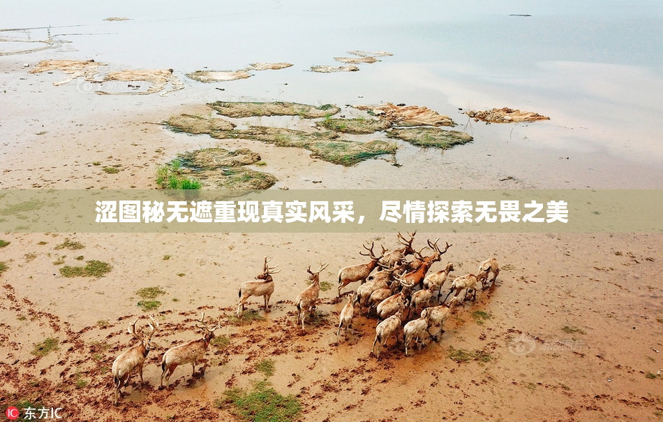 涩图秘无遮重现真实风采，尽情探索无畏之美