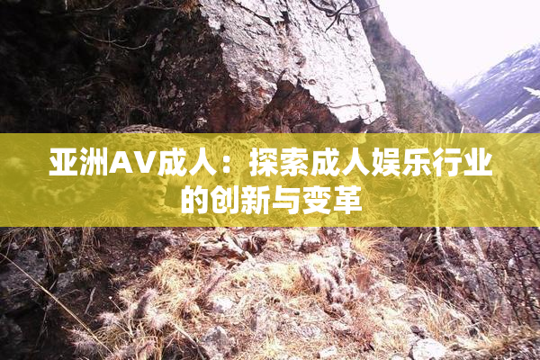 亚洲AV成人：探索成人娱乐行业的创新与变革