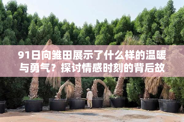 91日向雏田展示了什么样的温暖与勇气？探讨情感时刻的背后故事