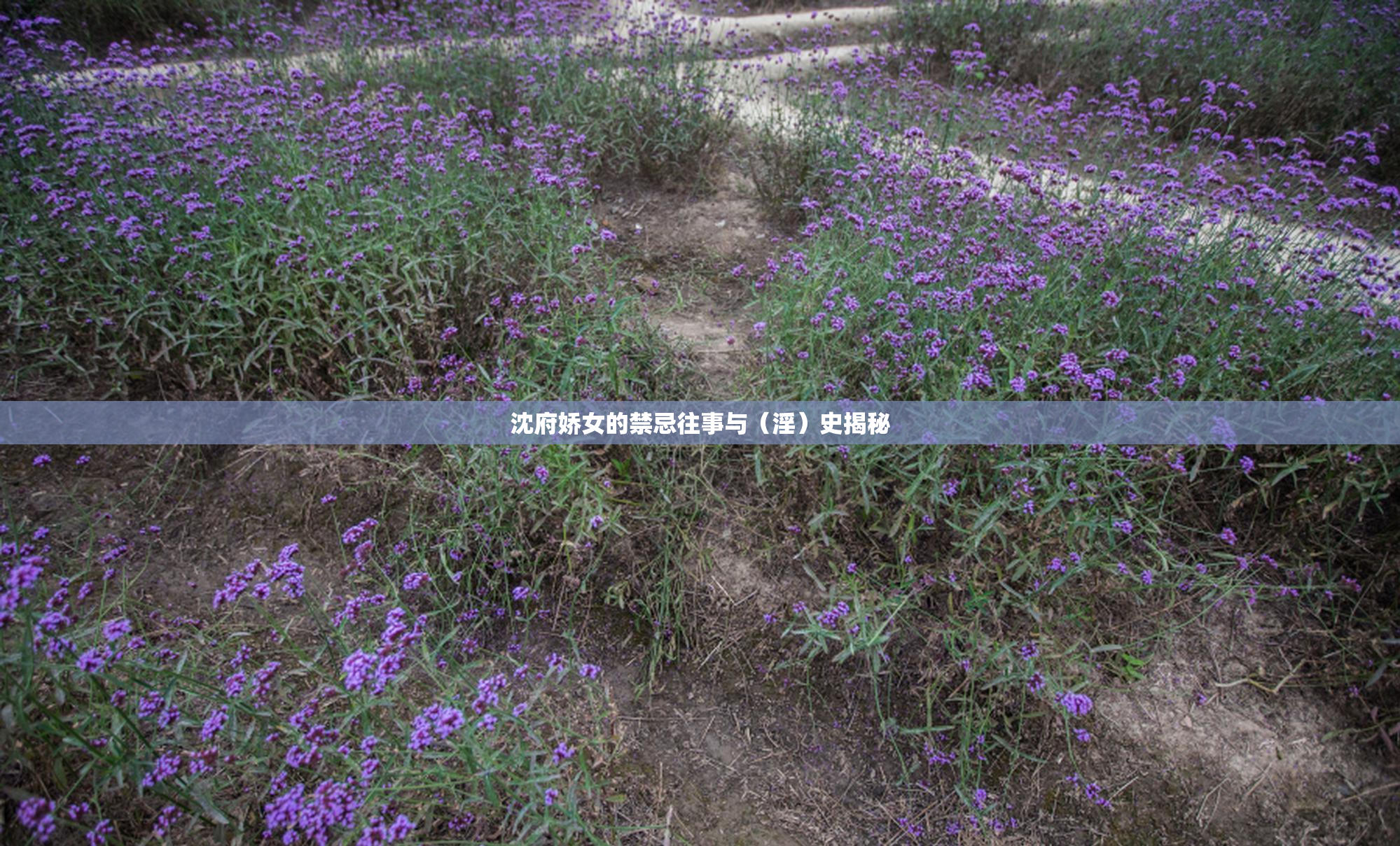 沈府娇女的禁忌往事与（淫）史揭秘