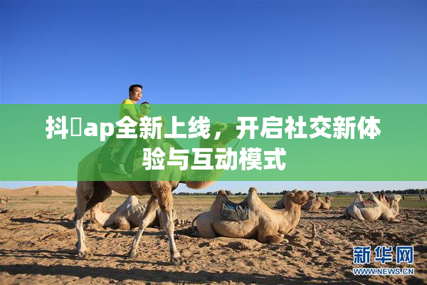 抖抈ap全新上线，开启社交新体验与互动模式