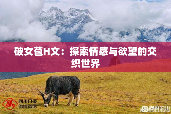 破女苞H文：探索情感与欲望的交织世界