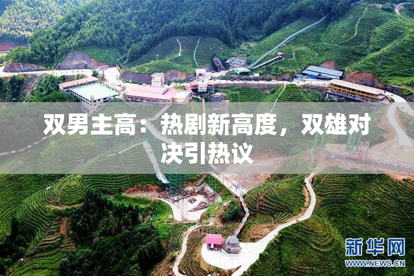 双男主高：热剧新高度，双雄对决引热议