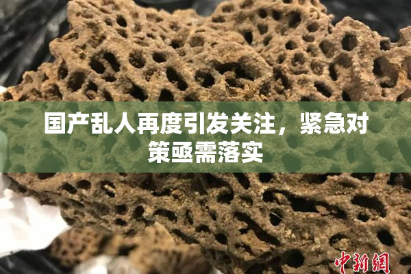 国产乱人再度引发关注，紧急对策亟需落实