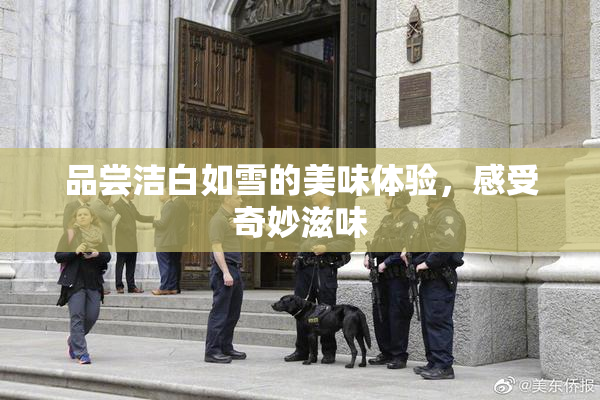 品尝洁白如雪的美味体验，感受奇妙滋味