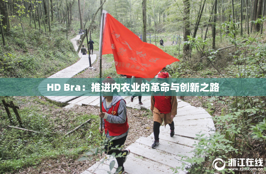 HD Bra：推进内衣业的革命与创新之路