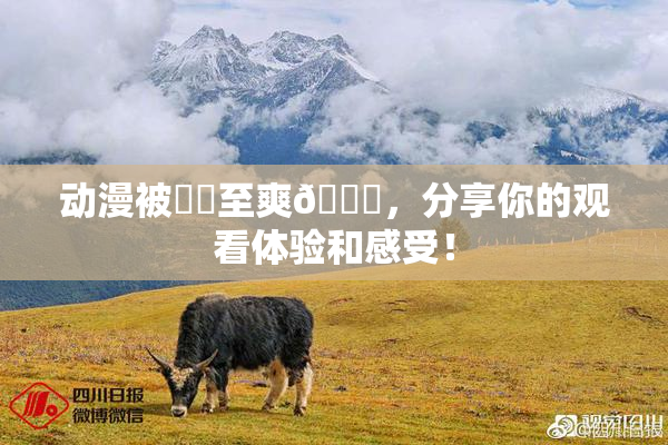 动漫被❌‌至爽🔞，分享你的观看体验和感受！
