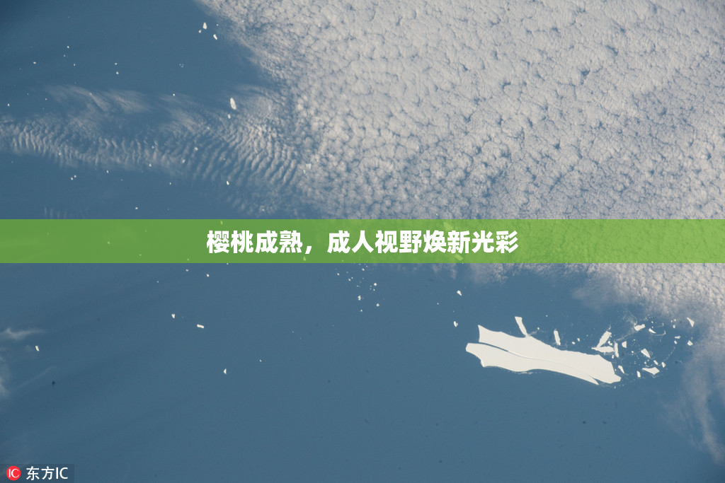樱桃成熟，成人视野焕新光彩