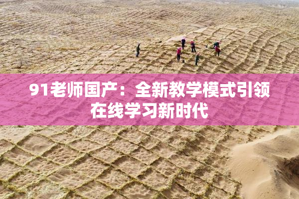 91老师国产：全新教学模式引领在线学习新时代