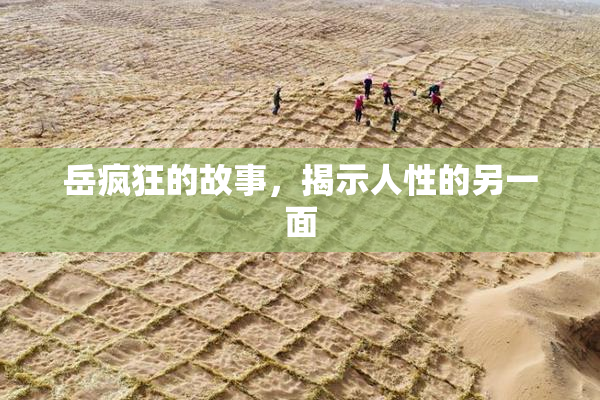 岳疯狂的故事，揭示人性的另一面