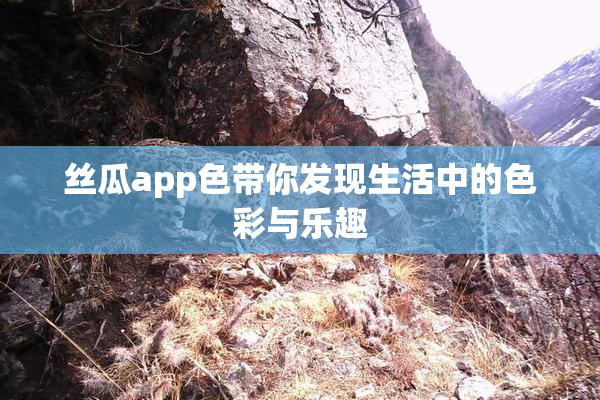 丝瓜app色带你发现生活中的色彩与乐趣