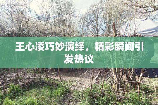 王心凌巧妙演绎，精彩瞬间引发热议