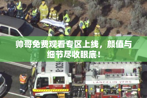 帅哥免费观看专区上线，颜值与细节尽收眼底！