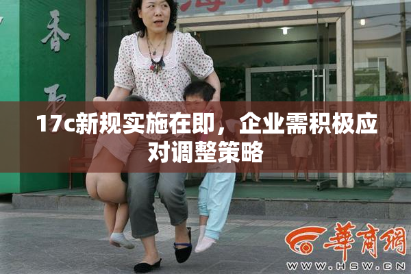 17c新规实施在即，企业需积极应对调整策略