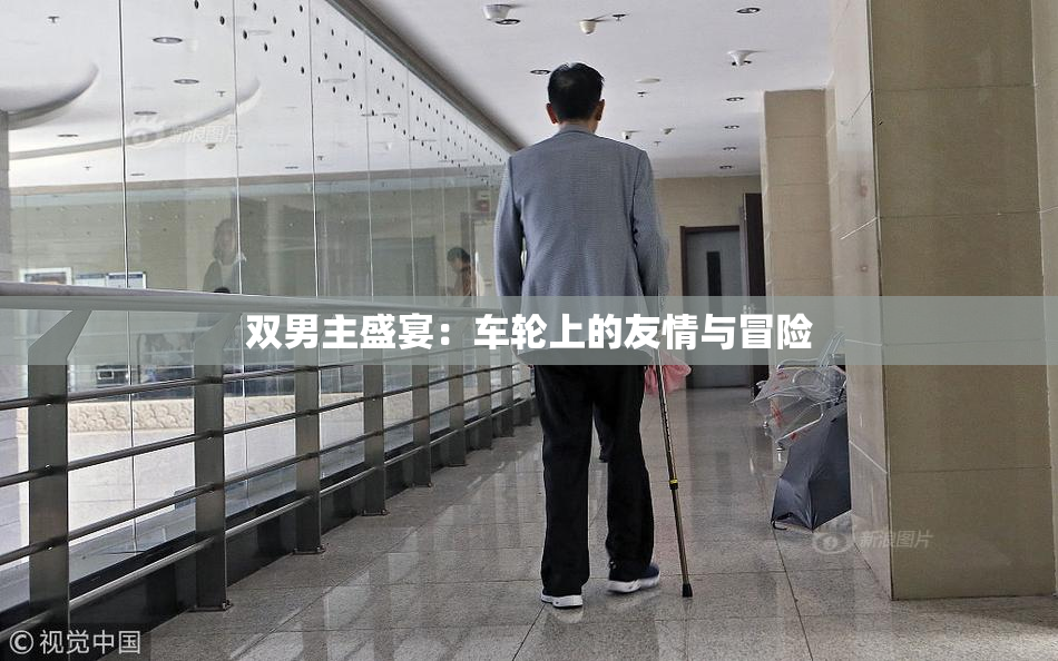 双男主盛宴：车轮上的友情与冒险