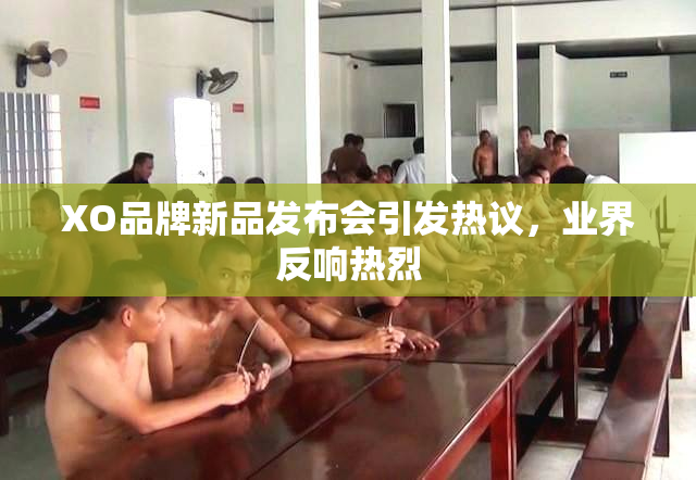 XO品牌新品发布会引发热议，业界反响热烈