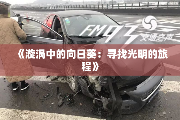 《漩涡中的向日葵：寻找光明的旅程》