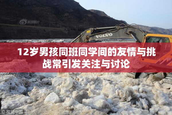12岁男孩同班同学间的友情与挑战常引发关注与讨论