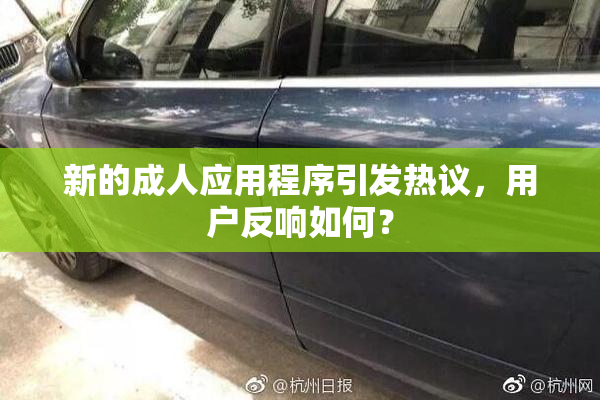 新的成人应用程序引发热议，用户反响如何？
