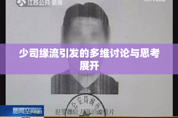 少司缘流引发的多维讨论与思考展开