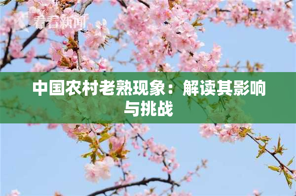 中国农村老熟现象：解读其影响与挑战