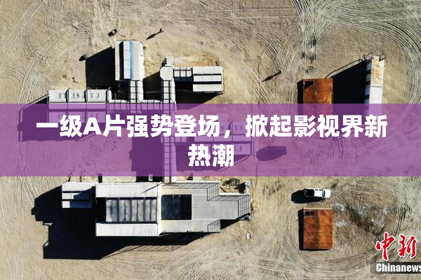 一级A片强势登场，掀起影视界新热潮
