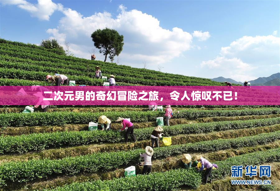 二次元男的奇幻冒险之旅，令人惊叹不已！