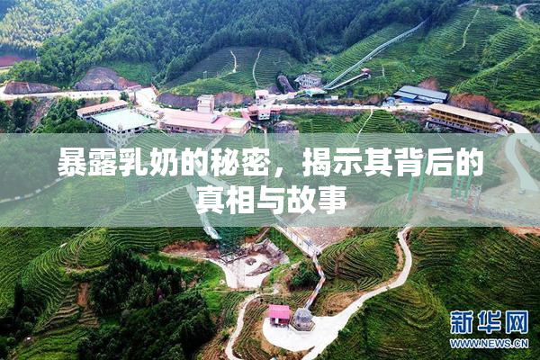 暴露乳奶的秘密，揭示其背后的真相与故事