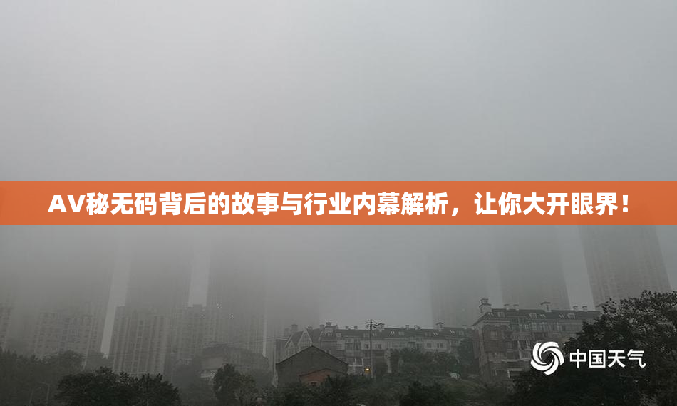 AV秘无码背后的故事与行业内幕解析，让你大开眼界！