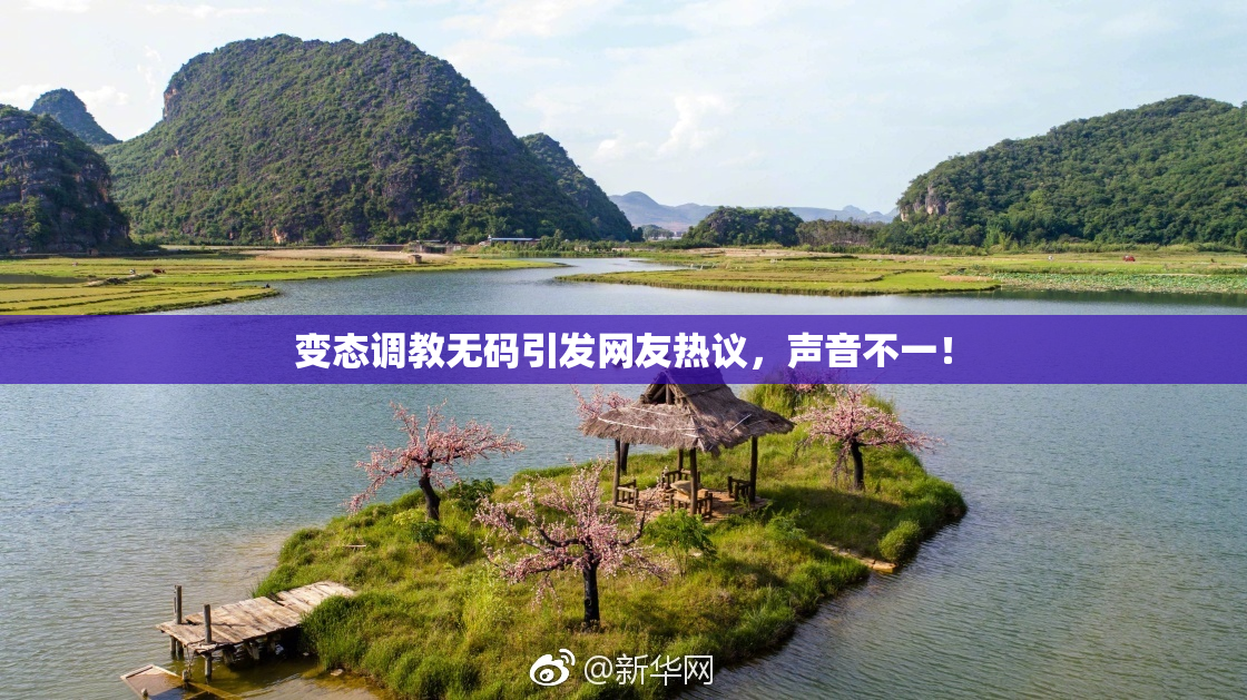 变态调教无码引发网友热议，声音不一！
