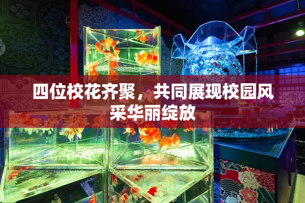 四位校花齐聚，共同展现校园风采华丽绽放