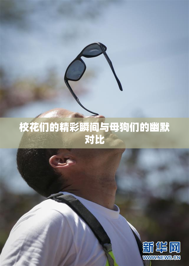 校花们的精彩瞬间与母狗们的幽默对比