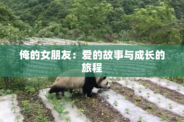 俺的女朋友：爱的故事与成长的旅程