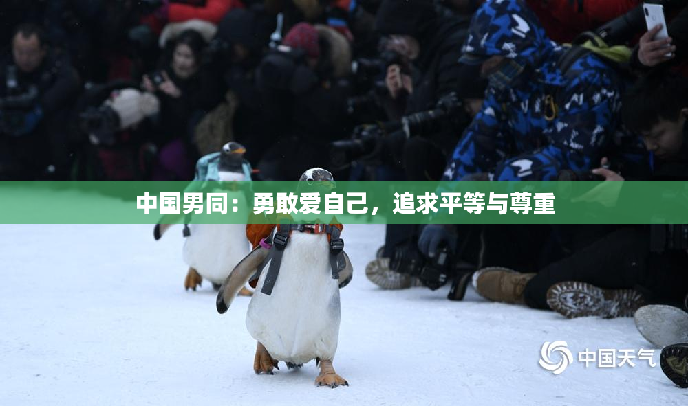 中国男同：勇敢爱自己，追求平等与尊重