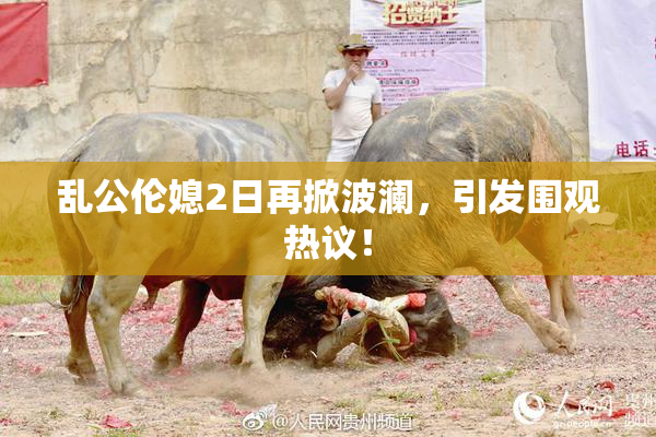 乱公伦媳2日再掀波澜，引发围观热议！