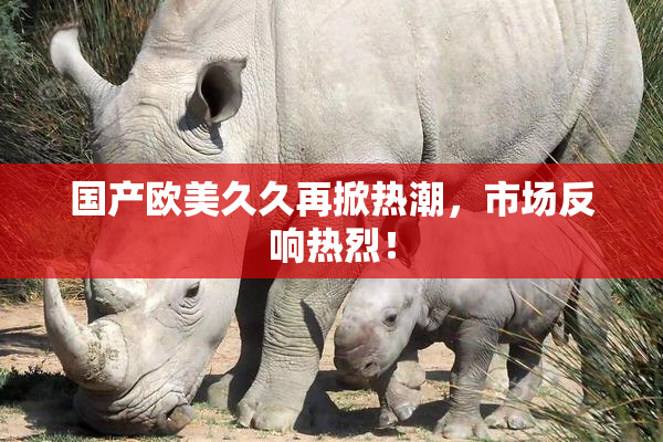 国产欧美久久再掀热潮，市场反响热烈！