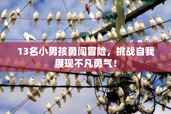 13名小男孩勇闯冒险，挑战自我展现不凡勇气！